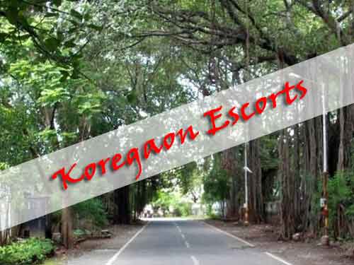 Koregaon Escort